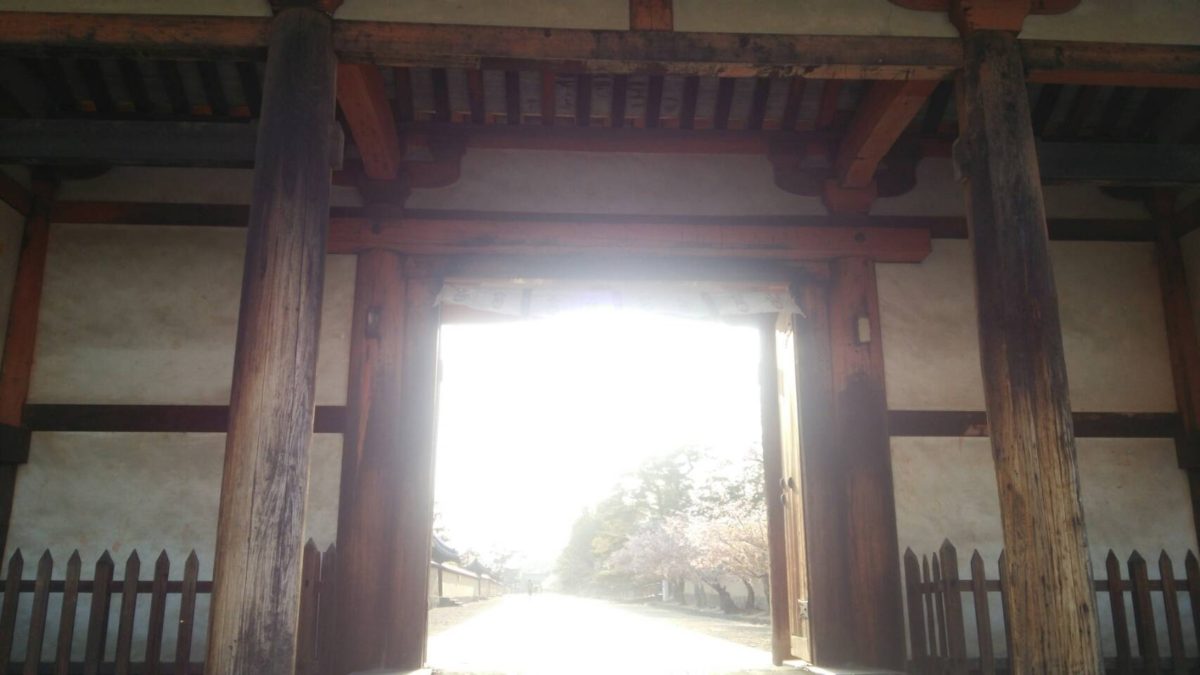 受験ひと段落。