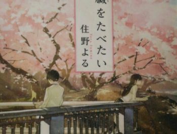 ほのぼの日曜。