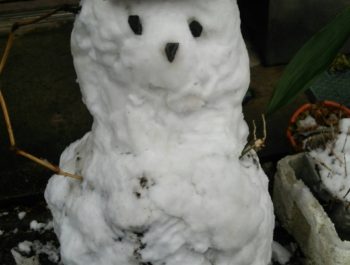 雪だるま！雪合戦！