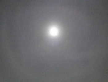 うちのへんなおかん。