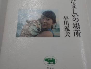 『たましいの場所』