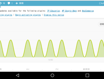 ブログのアクセス。