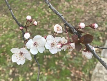 今年度もありがとうございました。